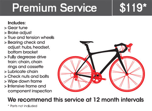 Premium Service $119 Premium Service $119
