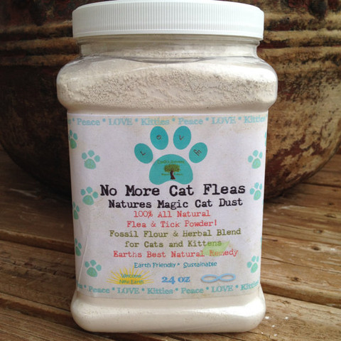 Organic Flea Control For Cats Organic Flea Control For Cats