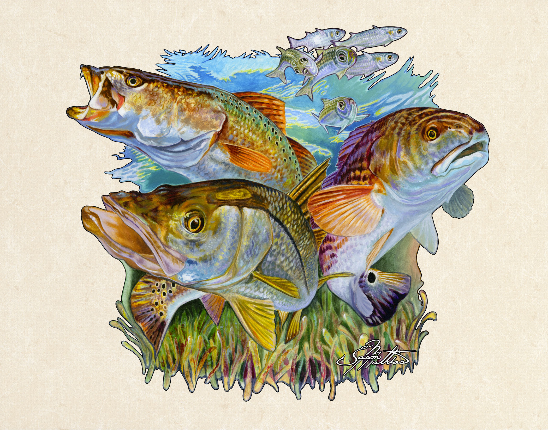 inshore slam snook trout redfish jason mathias studios inshore slam snook trout redfish jason mathias studios