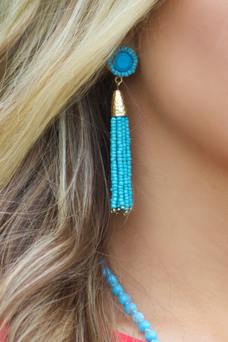 Livin' The Dream Earrings: Turquoise
