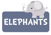 boy-elephant-theme2a.jpg