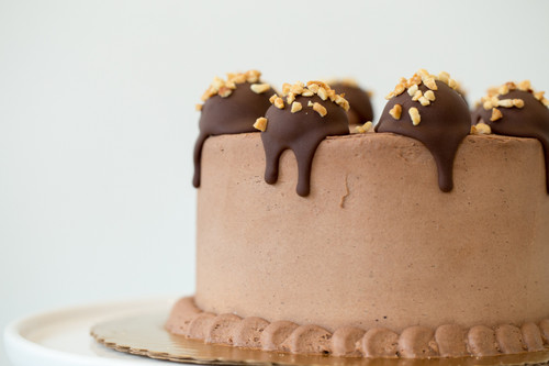 Peanut Butter Cup Ice Cream Cake