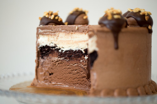 Peanut Butter Cup Ice Cream Cake