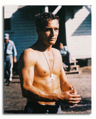 Mejores personajes del cine - Página 3 Ss2762682_-_photograph_of_paul_newman_as_lucas_luke_jackson_from_cool_hand_luke_available_in_4_sizes_framed_or_unframed_buy_now_at_starstills__62484__22337.1404461082.500.659