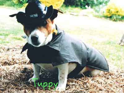 tuppy-brd.jpg