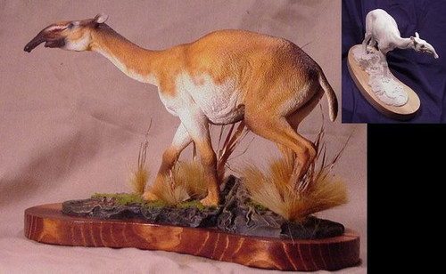 Macrauchenia Resin Kit by Paleocraft - Dan's Dinosaurs