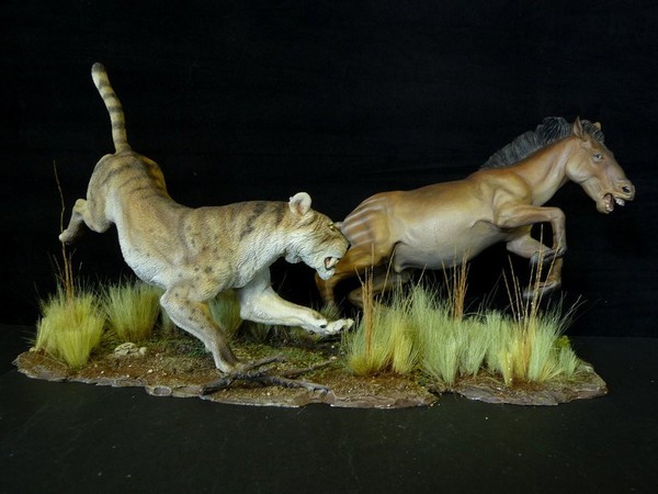 Black Cat Collectibles Pa Black Cat Collectibles Pa