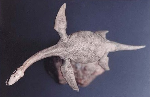 plesiosaurus dino dan