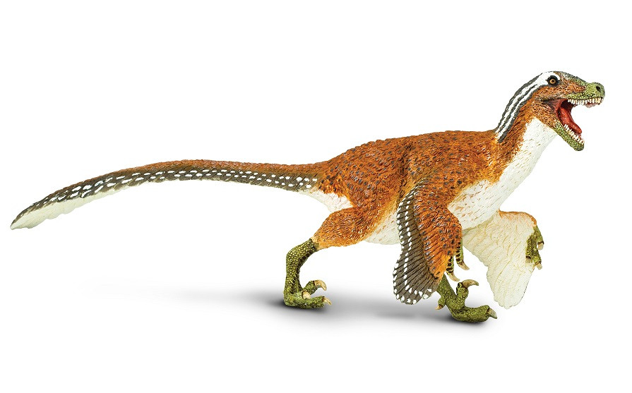 Feathered Velociraptor by Safari - Dan's Dinosaurs