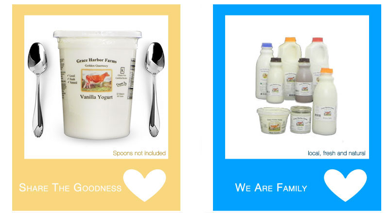 vanillayogurt-002c.jpg vanillayogurt-002c.jpg
