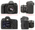 Canon 5D Mark II
75 day/300 week/600 month