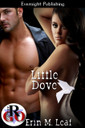 Genre: BDSM Romance

Heat Level: 4

Word Count: 10, 850

ISBN:  978-1-77130-287-6

Editor: JS Cook

Cover Artist: Sour Cherry Designs