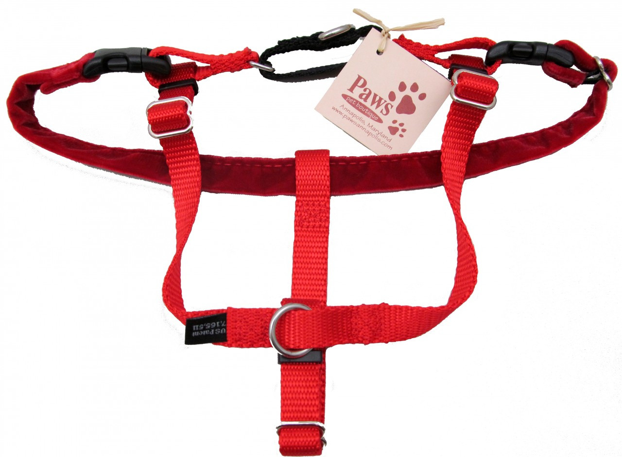 no pull harness 2 ring no pull harnesses at pawpetboutique great harnesses no pull harness 2 ring no pull harnesses at pawpetboutique great harnesses