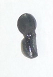 11: DETENT, return spring tube nut