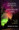Magnetic Reversals and Evolutionary Leaps