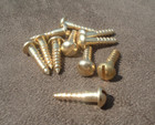 Extra Pair of Solid Brass Wood Screws