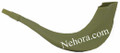 Real Looking Plastic Shofar