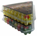 Ner Light Channukah Lights-Box of 44 olive oil vials