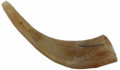 shofar