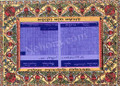Noam Elimelech Microfilm