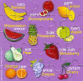 Fruit Magnetic Puzzle   GM-MPF