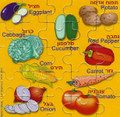 Vegetables Magnetic Puzzle  GM-MPV