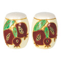 Ceramic Salt and Pepper  Pomegranate