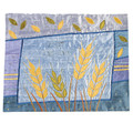 emanuel Raw Silk Challa Cover
