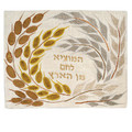 emanuel Raw Silk Challa Cover