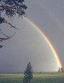 Grow in Grace (article photocopy)