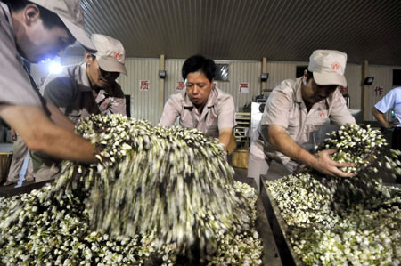 Piling the jasmine flowers