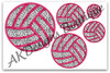 All 5 volleyballs included in this set.