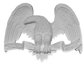Small Perched Eagle A15