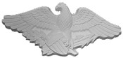 American Eagle A16