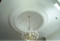 Installed architectural dome D10-Coffered with separate Ring