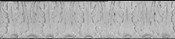 Classic Decorative Leaf Molding