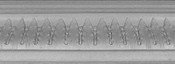 Decorative Leaves Crown Molding