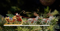 Santa in Sleigh
