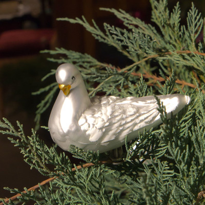 White Dove Clip-On