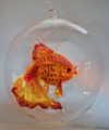 Veiltail Goldfish