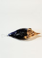 Fish with Golden Head