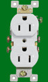 (RW) Standard Duplex Receptacle 15Amp White