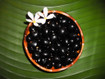 Natural Black Loose Kukui Nuts