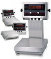 Rice Lake IQ plus 2100