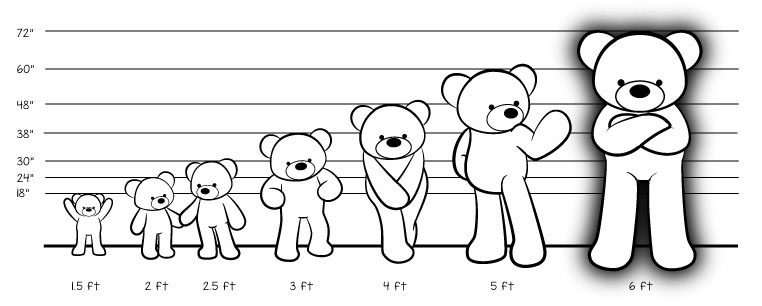 average teddy bear size