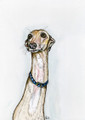 Confused by Elle Wilson