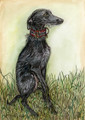 Wispy Whiskers by Elle Wilson