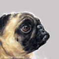 Pug Study III Limited edition print by Justine Osborne