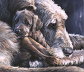 Irish Eyes a limited edition print by Pippa Thew