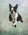 Bouncing Boston a limited edition print by Pippa Thew